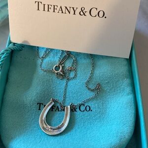 Tiffany & Co. 1837 Lucky Horseshoe Necklace/Charm